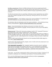 Teisės priešistorė 2 puslapis