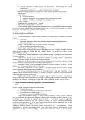 LR Teisėsaugos institucijų (LRTI) kurso dalykas. 11 puslapis