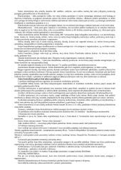 Teisėtumo užtikrinimas valdyme 2 puslapis