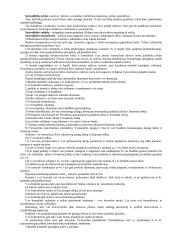 Teisėtumo užtikrinimas valdyme 3 puslapis