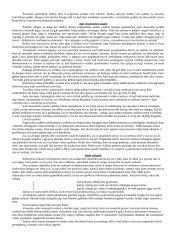 Teisinio santykio kilmė. Daktinės ir prievolių teisės filosofiniai pagrindai. 2 puslapis