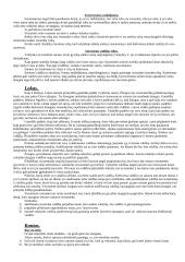 Teisinio santykio kilmė. Daktinės ir prievolių teisės filosofiniai pagrindai. 3 puslapis