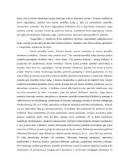 Teisminis administracinės bylos nagrinėjimas 2 puslapis