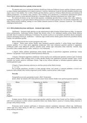 Valdymo apskaita ir valdymo sistema 12 puslapis