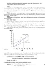 Valdymo apskaita ir valdymo sistema 19 puslapis