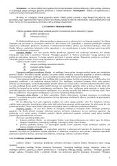 Valdymo apskaita ir valdymo sistema 6 puslapis