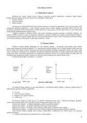 Valdymo apskaita ir valdymo sistema 9 puslapis