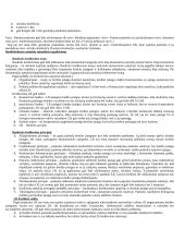 Valstybės (savivaldybių) finansų veikla 20 puslapis