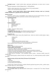 Valstybės funkcijos, pagrindiniai valstybės požymiai 2 puslapis