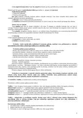 Valstybės funkcijos, pagrindiniai valstybės požymiai 3 puslapis