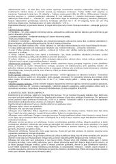 Teisės sampratos įvadas 17 puslapis