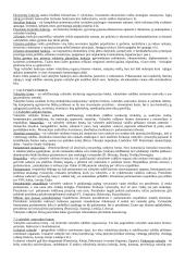 Teisės sampratos įvadas 4 puslapis