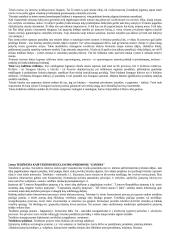 Teisės normų klasifikacija ir jos pagrindai 8 puslapis