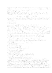 Valstybės ir teisės teorija (Pagrindinės atsiradimo priežastys ir būtinumai) 11 puslapis