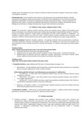 Valstybės ir teisės teorija (Pagrindinės atsiradimo priežastys ir būtinumai) 12 puslapis