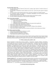 Valstybės ir teisės teorija (Pagrindinės atsiradimo priežastys ir būtinumai) 16 puslapis