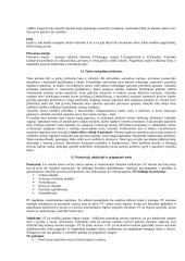 Valstybės ir teisės teorija (Pagrindinės atsiradimo priežastys ir būtinumai) 6 puslapis