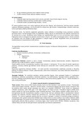 Valstybės ir teisės teorija (Pagrindinės atsiradimo priežastys ir būtinumai) 7 puslapis