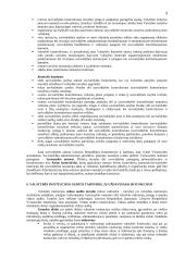 Valstybės kontrolė (veikimo principas, uždaviniai ir t.t.) 3 puslapis