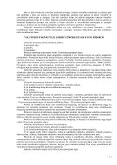 Valstybės tarnyba ir valstybės tarnautojai 11 puslapis