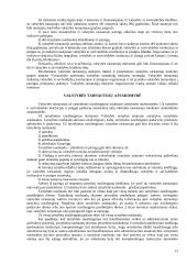 Valstybės tarnyba ir valstybės tarnautojai 13 puslapis