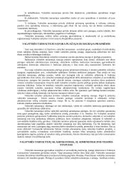 Valstybės tarnyba ir valstybės tarnautojai 3 puslapis