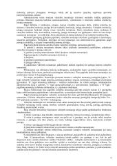 Valstybės tarnyba ir valstybės tarnautojai 4 puslapis