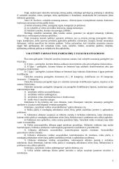 Valstybės tarnyba ir valstybės tarnautojai 5 puslapis