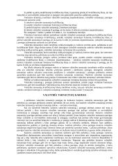 Valstybės tarnyba ir valstybės tarnautojai 10 puslapis