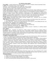 Valstybės užsienio politika