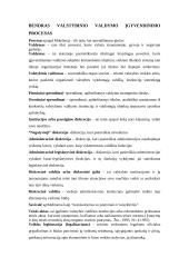 Valstybinio įgyvendimo proceso sąvokos