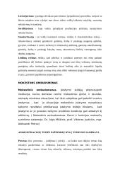 Valstybinio įgyvendimo proceso sąvokos 2 puslapis