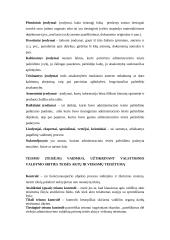 Valstybinio įgyvendimo proceso sąvokos 4 puslapis