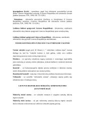 Valstybinio įgyvendimo proceso sąvokos 8 puslapis