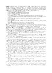 Viešojo valdymo esmė ir požymiai 16 puslapis