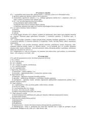 Viešojo valdymo esmė ir požymiai 4 puslapis