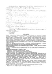 Viešojo valdymo esmė ir požymiai 6 puslapis