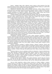 Viešojo administravimo sąvoka ir esmė 2 puslapis