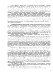 Viešojo administravimo sąvoka ir esmė 3 puslapis