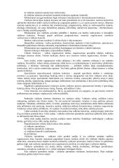 Viešojo administravimo sąvoka ir esmė 4 puslapis