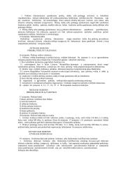 19 viešojo pirkimo - pardavimo sutartys 4 puslapis