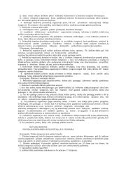 19 viešojo pirkimo - pardavimo sutartys 10 puslapis