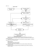 Viešosios programos. Jų rengimo ir vertinimo metodologija. 11 puslapis