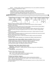 Viešosios programos. Jų rengimo ir vertinimo metodologija. 13 puslapis