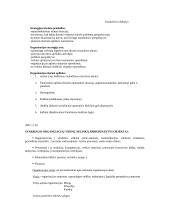 Viešosios programos. Jų rengimo ir vertinimo metodologija. 4 puslapis