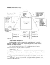Viešosios programos. Jų rengimo ir vertinimo metodologija. 7 puslapis