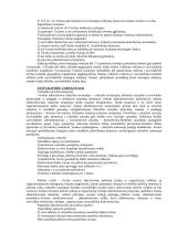 Vietos savivalda ir valdymas 11 puslapis