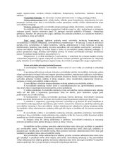 Vietos savivalda ir valdymas 3 puslapis