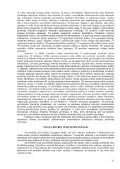 Vietos savivaldos institucijos 11 puslapis