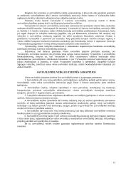 Vietos savivaldos institucijos 13 puslapis